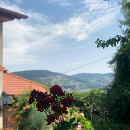 Panorama شقة