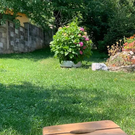 Panorama شقة *