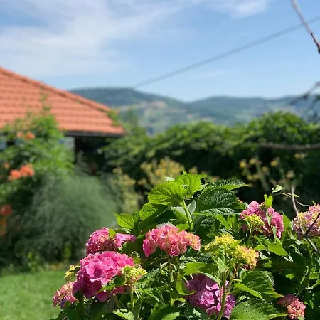 Panorama * Visoko