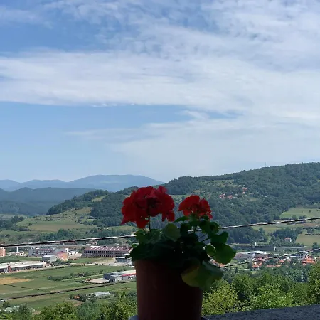Panorama *